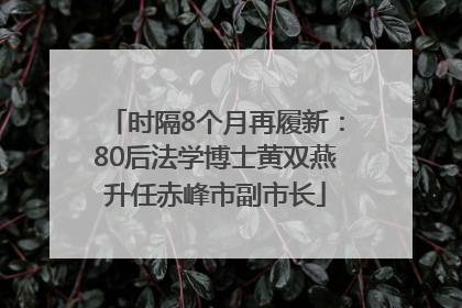 时隔8个月再履新：80后法学博士黄双燕升任赤峰市副市长