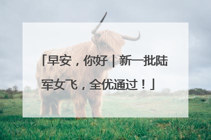 早安，你好｜新一批陆军女飞，全优通过！