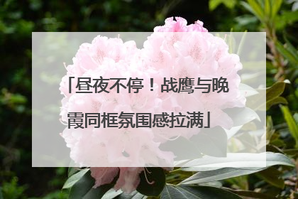 昼夜不停！战鹰与晚霞同框氛围感拉满