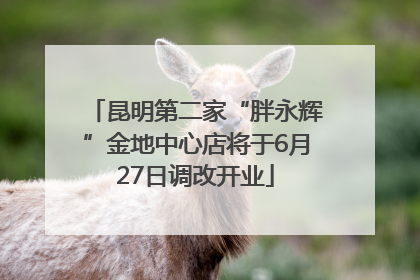 昆明第二家“胖永辉”金地中心店将于6月27日调改开业
