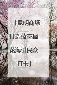 昆明商场打造蓝花楹花海引民众打卡