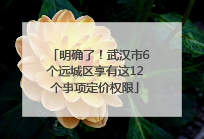 明确了！武汉市6个远城区享有这12个事项定价权限