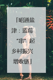 昭通盐津：蓝莓“串”起乡村振兴增收链