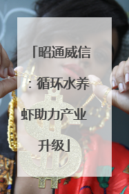 昭通威信：循环水养虾助力产业升级