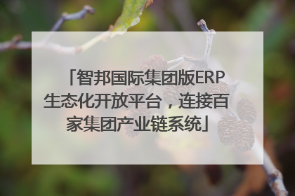 智邦国际集团版ERP生态化开放平台，连接百家集团产业链系统