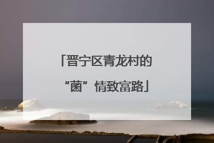 晋宁区青龙村的“菌”情致富路