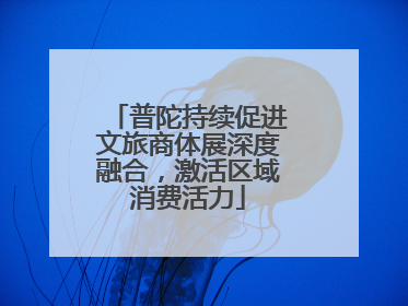 普陀持续促进文旅商体展深度融合，激活区域消费活力