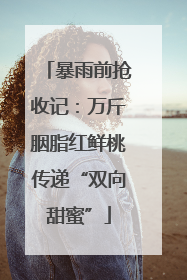 暴雨前抢收记：万斤胭脂红鲜桃传递“双向甜蜜”