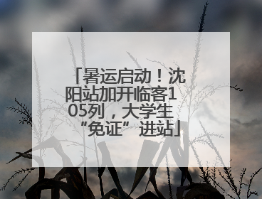 暑运启动！沈阳站加开临客105列，大学生“免证”进站