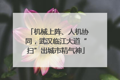 机械上阵、人机协同，武汉临江大道“扫”出城市精气神
