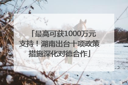 最高可获1000万元支持！湖南出台十项政策措施深化对德合作