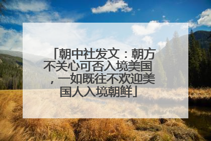 朝中社发文：朝方不关心可否入境美国，一如既往不欢迎美国人入境朝鲜