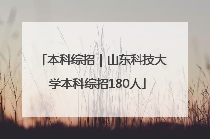 本科综招｜山东科技大学本科综招180人