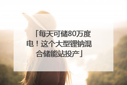 每天可储80万度电！这个大型锂钠混合储能站投产