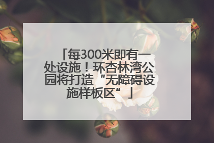 每300米即有一处设施！环杏林湾公园将打造“无障碍设施样板区”
