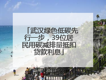 武汉绿色低碳先行一步，39位居民用碳减排量抵扣贷款利息