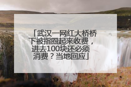 武汉一网红大桥桥下被指圈起来收费，进去100块还必须消费？当地回应