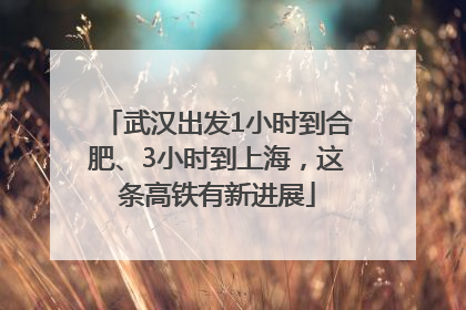 武汉出发1小时到合肥、3小时到上海，这条高铁有新进展