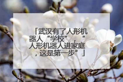 武汉有了人形机器人“学校”，“人形机器人进家庭，这是第一步”