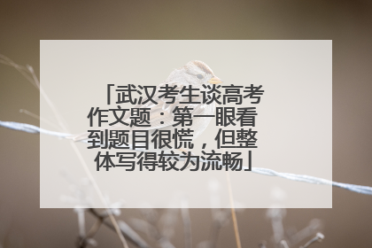 武汉考生谈高考作文题：第一眼看到题目很慌，但整体写得较为流畅