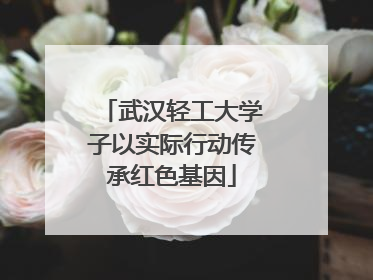 武汉轻工大学子以实际行动传承红色基因