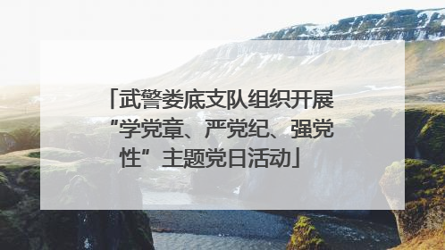 武警娄底支队组织开展“学党章、严党纪、强党性”主题党日活动