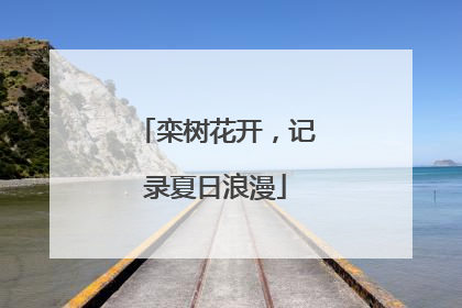 栾树花开，记录夏日浪漫