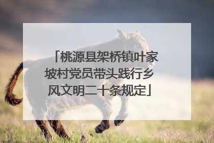 桃源县架桥镇叶家坡村党员带头践行乡风文明二十条规定