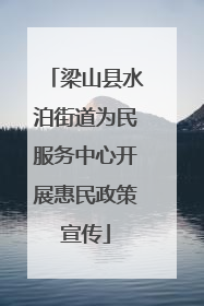 梁山县水泊街道为民服务中心开展惠民政策宣传