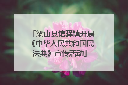 梁山县馆驿镇开展《中华人民共和国民法典》宣传活动
