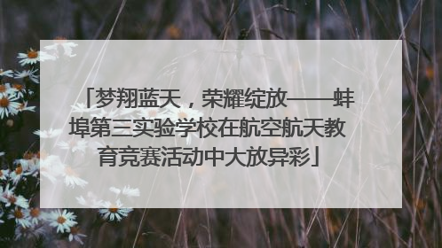 梦翔蓝天，荣耀绽放——蚌埠第三实验学校在航空航天教育竞赛活动中大放异彩
