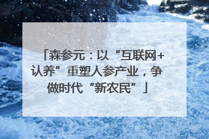森参元：以“互联网+认养”重塑人参产业，争做时代“新农民”
