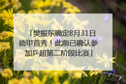 樊振东确定8月31日德甲首秀！此前已确认参加乒超第二阶段比赛