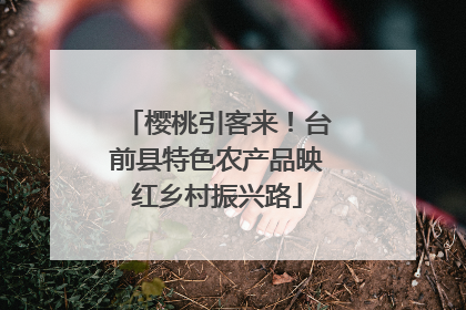 樱桃引客来!台前县特色农产品映红乡村振兴路