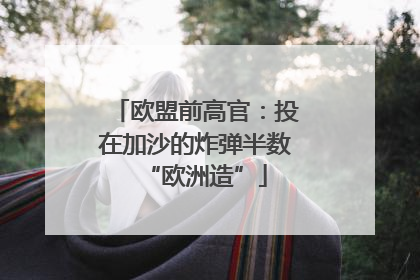 欧盟前高官：投在加沙的炸弹半数“欧洲造”