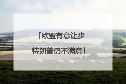 欧盟有意让步 特朗普仍不满意