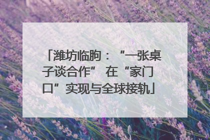 潍坊临朐：“一张桌子谈合作” 在“家门口”实现与全球接轨