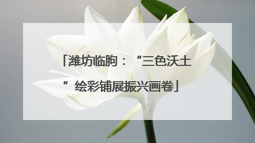 潍坊临朐：“三色沃土”绘彩铺展振兴画卷