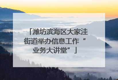 潍坊滨海区大家洼街道举办信息工作“业务大讲堂”