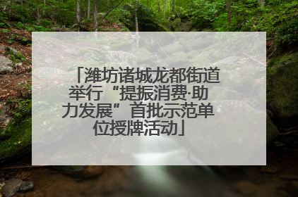 潍坊诸城龙都街道举行“提振消费·助力发展”首批示范单位授牌活动