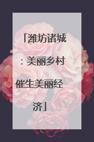 潍坊诸城：美丽乡村催生美丽经济