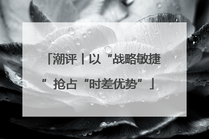 潮评丨以“战略敏捷”抢占“时差优势”