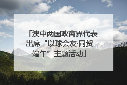 澳中两国政商界代表出席“以球会友·同贺端午”主题活动