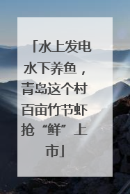 水上发电水下养鱼，青岛这个村百亩竹节虾抢“鲜”上市