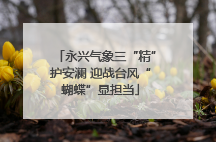 永兴气象三“精”护安澜 迎战台风“蝴蝶”显担当