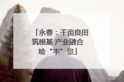 永春：千亩良田筑根基 产业融合绘“丰”景