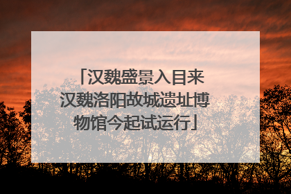 汉魏盛景入目来 汉魏洛阳故城遗址博物馆今起试运行