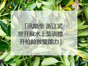 汛期至 浙江武警开展水上集训提升抢险救援能力