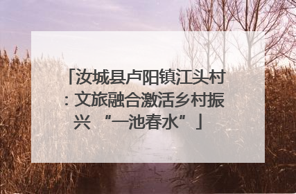 汝城县卢阳镇江头村：文旅融合激活乡村振兴 “一池春水”