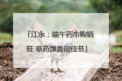 江永：端午药市购销旺 草药飘香迎佳节
